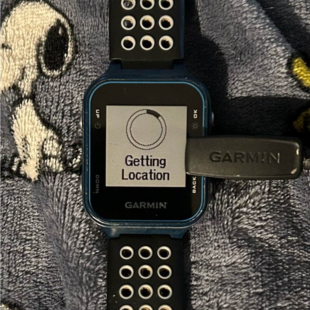 Garmin Approach 520 GPS Golf Watch